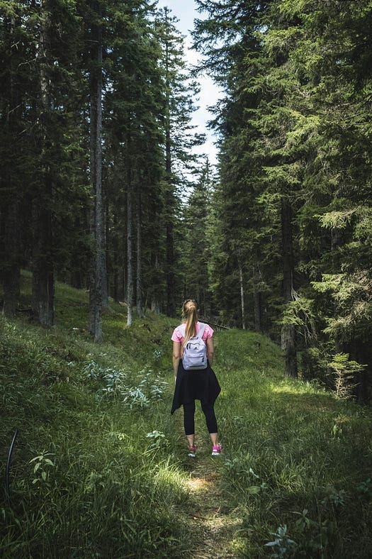 Woman walks in the forest