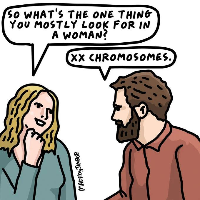 May be a graphic of text that says 'so WHAT'S THE ONE THING YOU MOSTLY LOOK FOR IN A WOMAN? xX CHROMOSOMES. MADEbyJIMBOB'