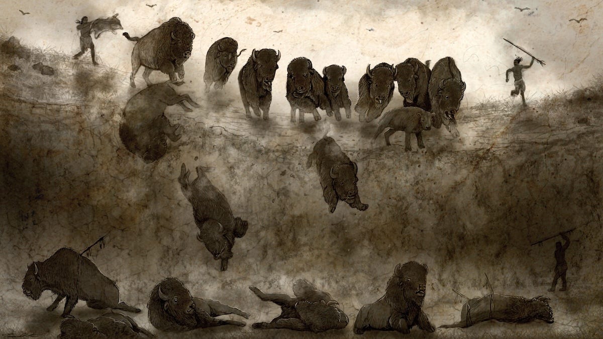 What Really Happened During an Ancient Buffalo Jump Hunt | MeatEater  Conservation News