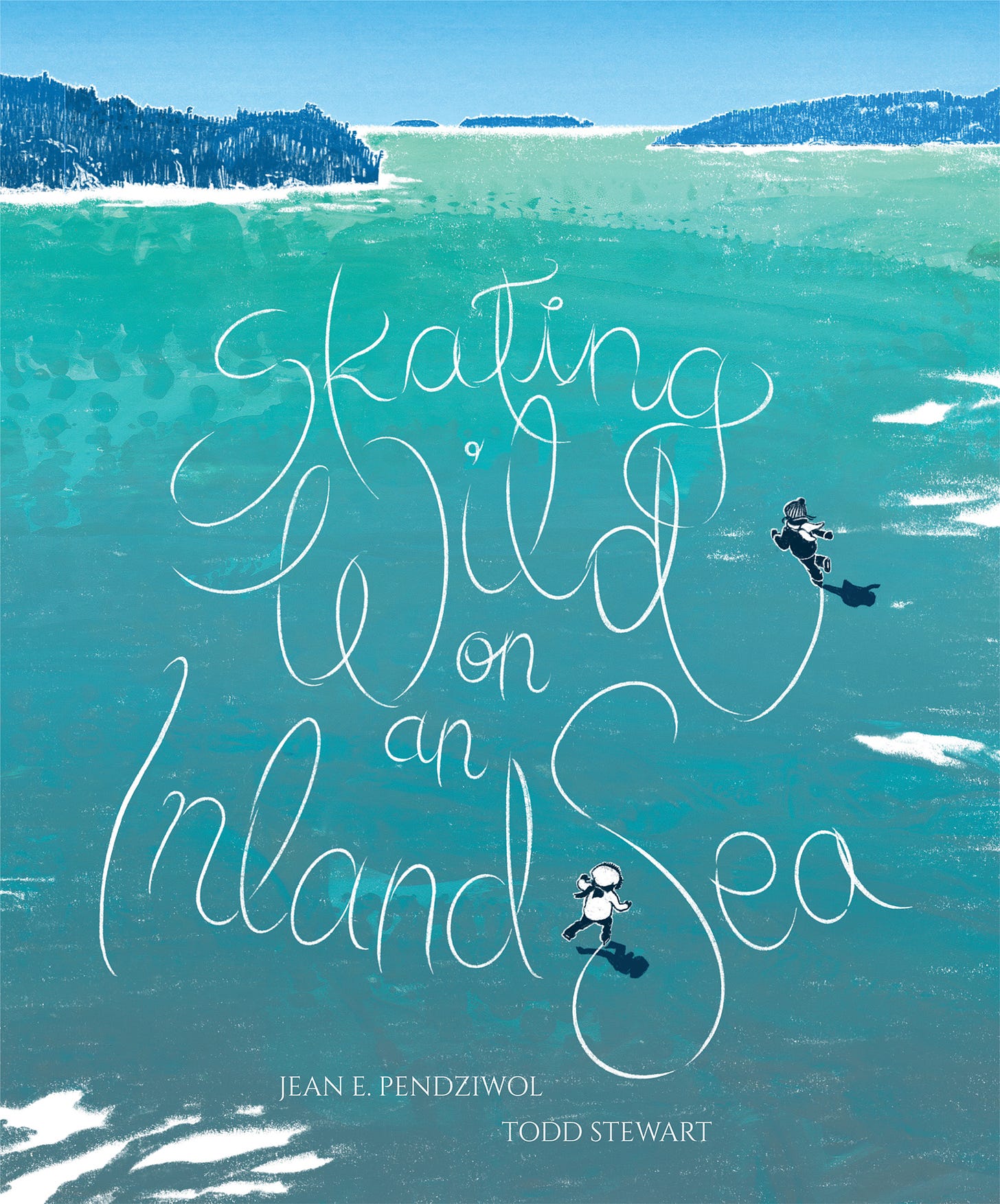 Book Cover Skating Wild on an Inland Sea