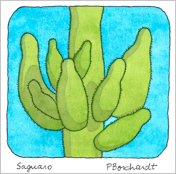 Saguaro (pen & watercolor)