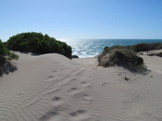 800px-OIC_jindalee_sand_dunes_2 Creative Commons