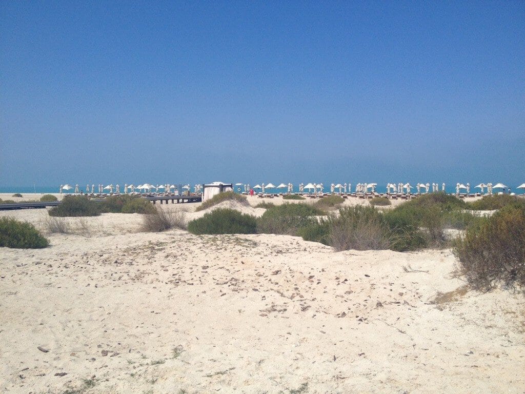 Park Hyatt Abu Dhabi beach view from Beach House restaurant