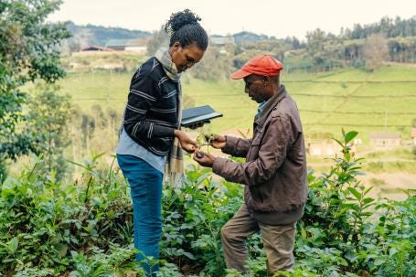Two people assess restoration in Eastern Rwanda. 