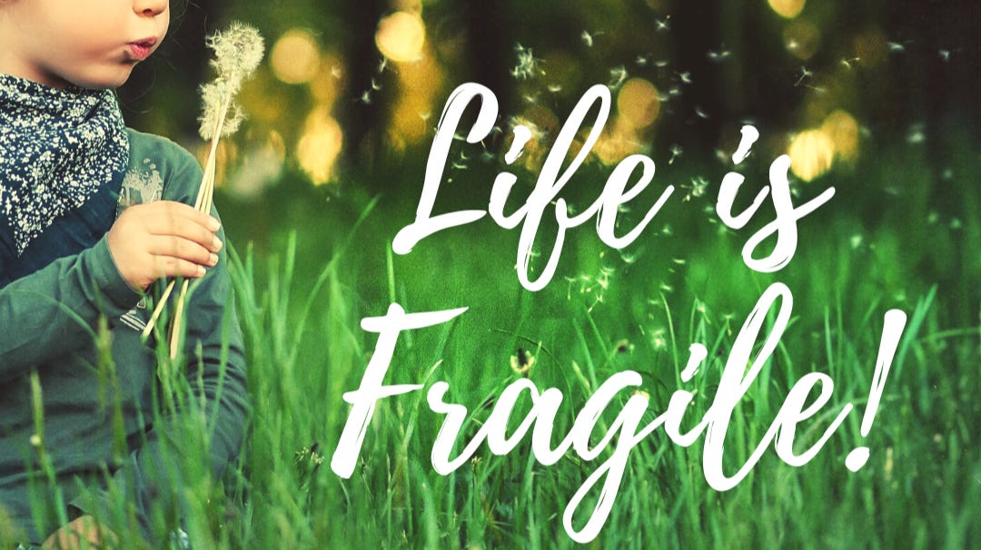 Life is Fragile!