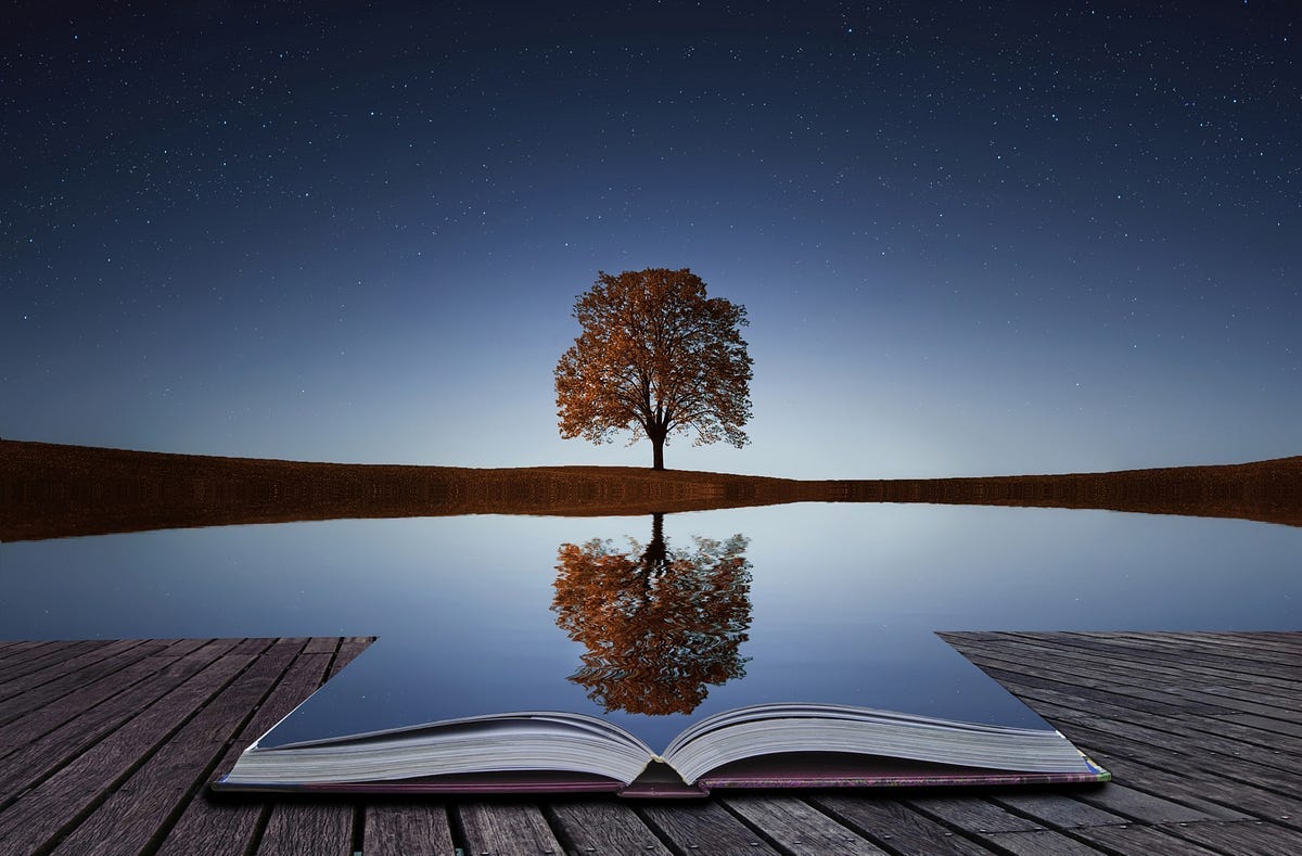 Win your life by harnessing The Power Of Reflection | by Rybo Chen | ICF  Certified Professional Coach | Thrive Global | Medium