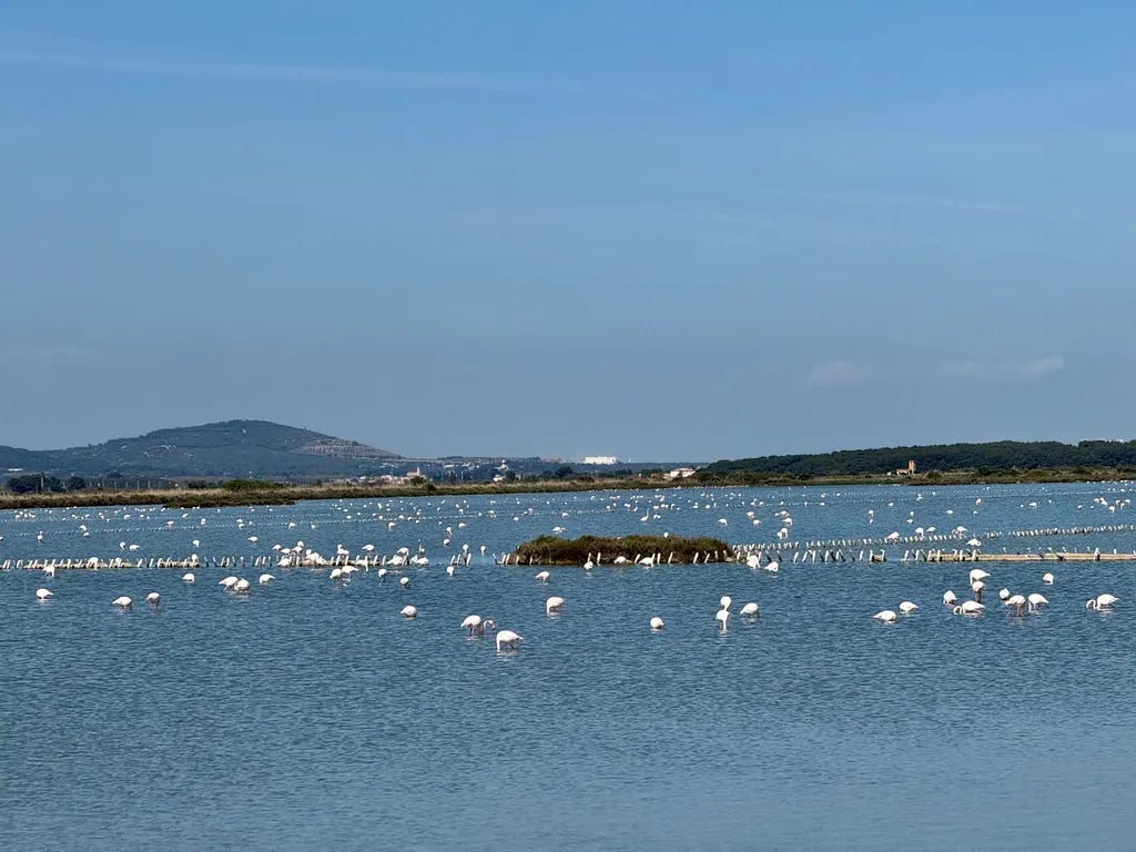 Frontignan