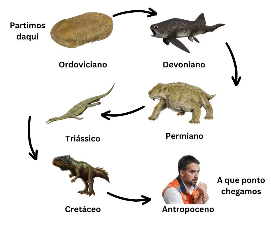 Montagem mostrando animais das 6 extinções em massa: ordoviciano, devoniano, triássico, permiano e cretáceo. Para o Antropoceno, escolhi Eduardo Leite para ilustrar.