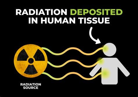 Measuring Ionising Radiation Exposure in 3 Ways - SensaWeb