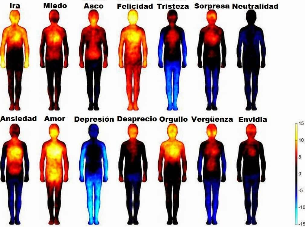 El mapa corporal de las emociones. Localiza dónde las sientes