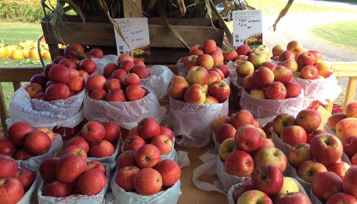 25 Years of Apple Touring in Wayne County - Life in the Finger Lakes