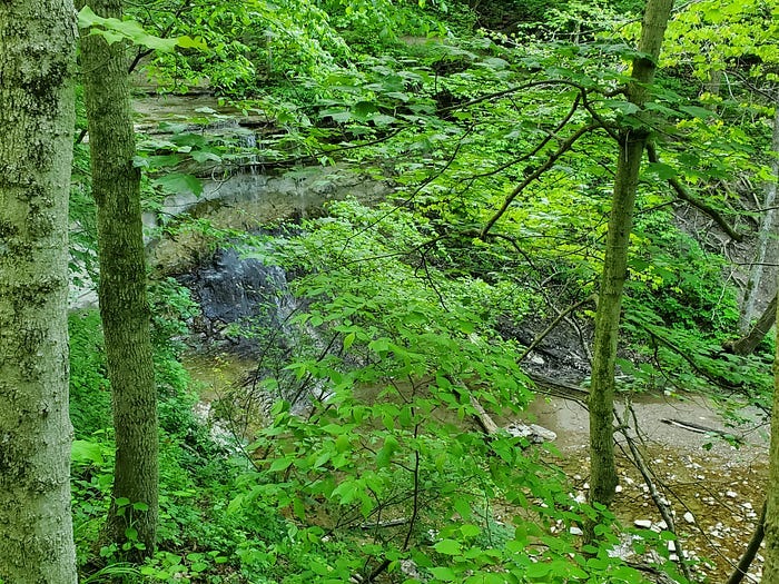Kissing Falls from the side and up the hill.