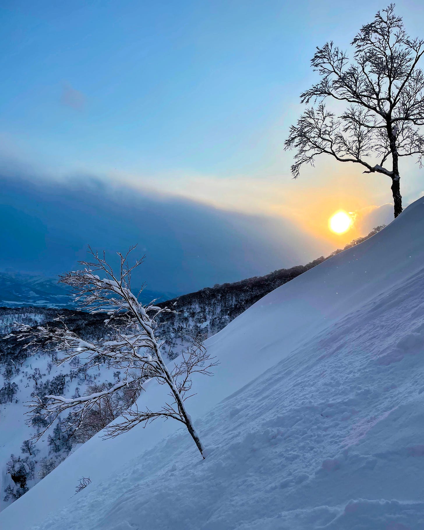 A steep hillside covered in snow, with two bare trees extending up above the slope. The sun sinks behind a bank of clouds in the distance.