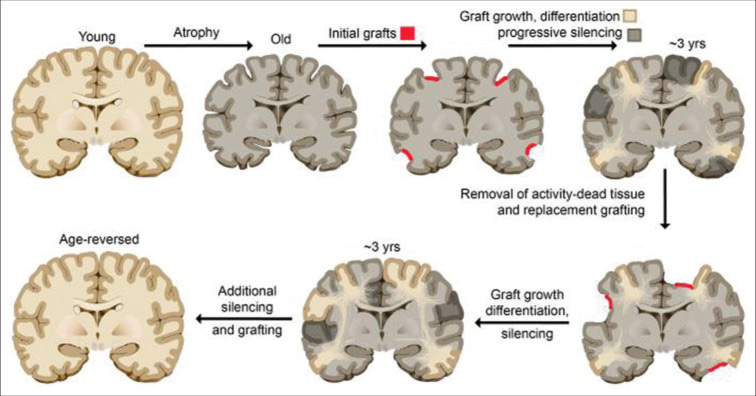 Figure 2: