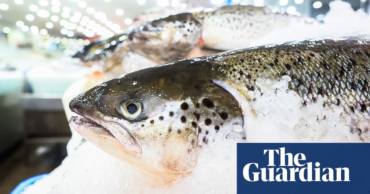 Animal rights group urges halt to ‘monstrous’ Lincolnshire salmon farm