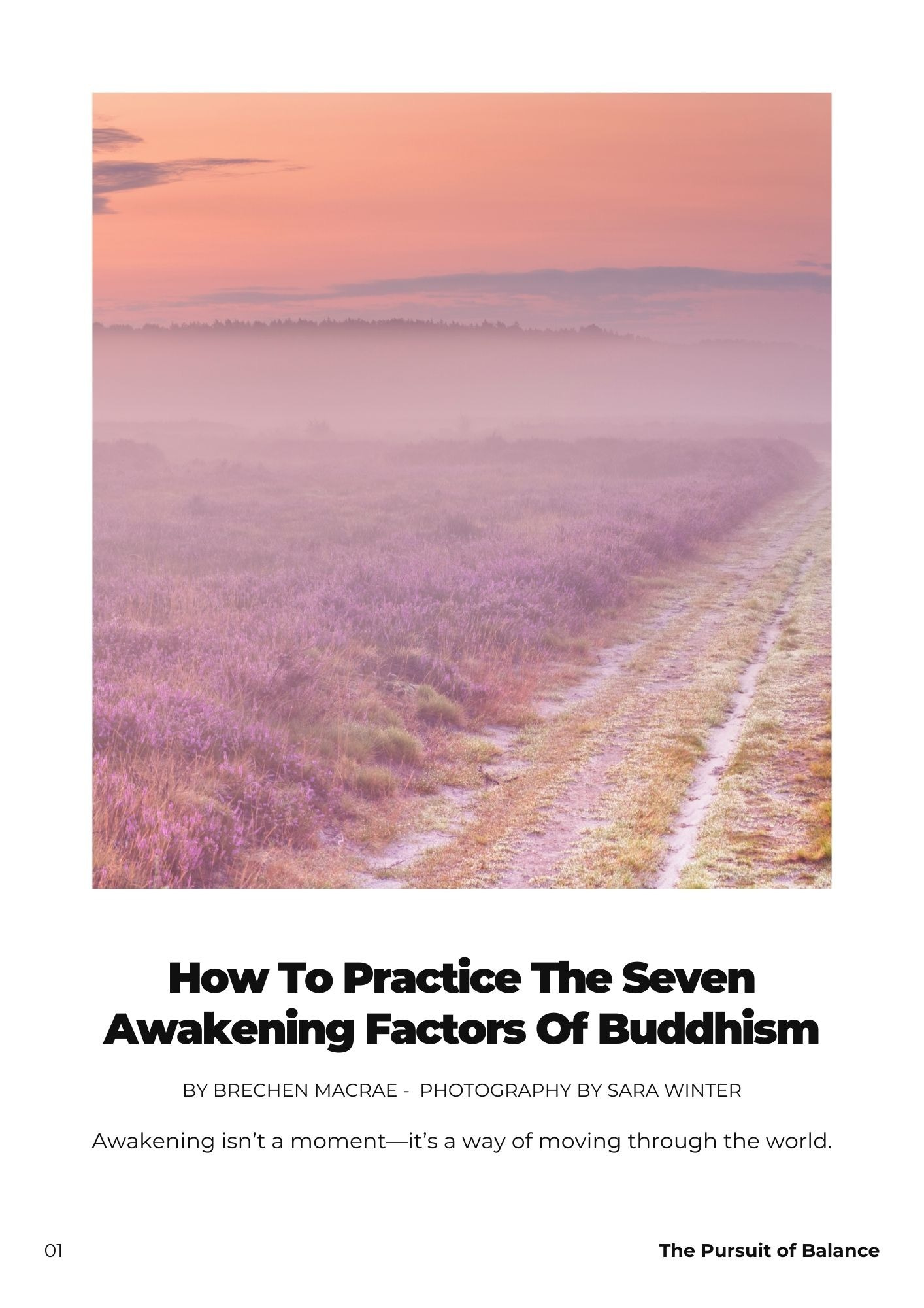 Magazine-style cover image with the title ‘How To Practice The Seven Awakening Factors Of Buddhism’ over a photo of a path winding through a lavender field at dawn, symbolizing calm, mindfulness, and the journey toward inner awareness.