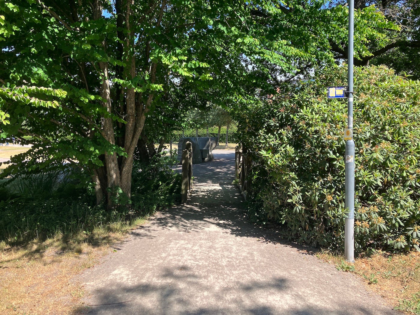 Narrow bridge between bushes