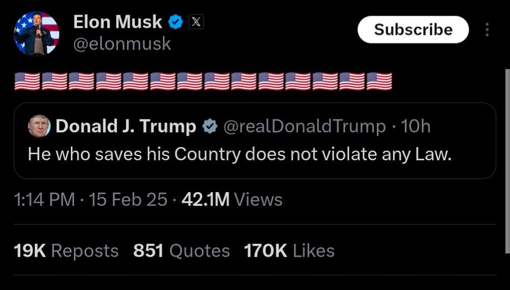Elon Musk tweet with 14 American flag emojisE