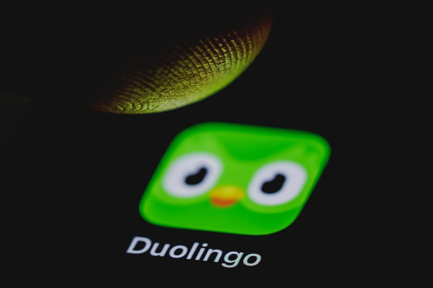 The Duolingo Owl's Last Will and Testament | The New Yorker
