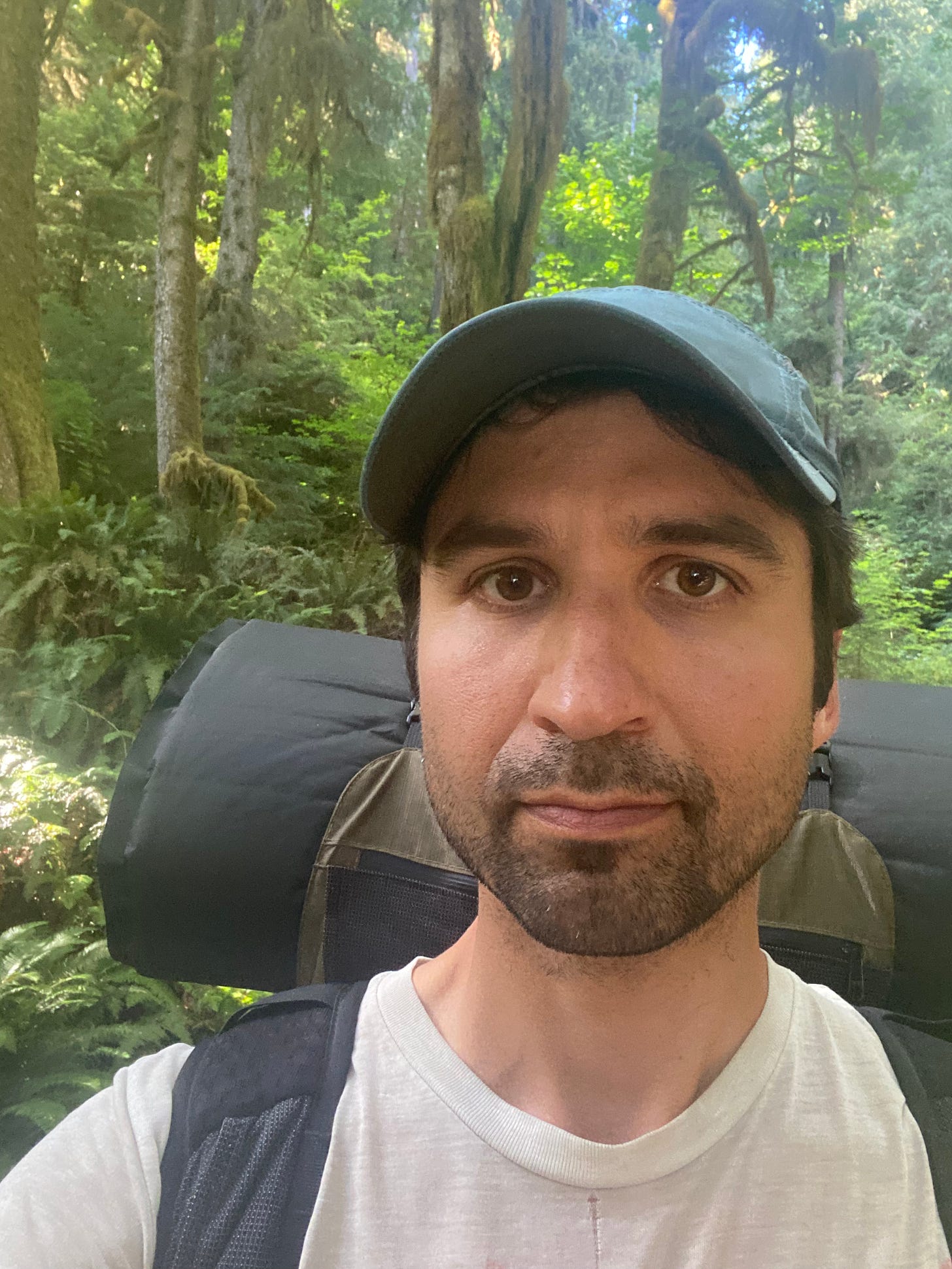 Traversing the humid Hoh rainforest.