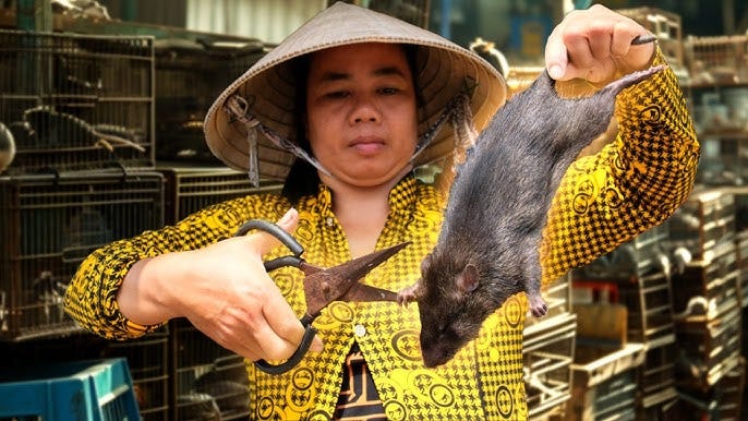 Asia's SHOCKING Live Animal Market!!! Extreme Food Tour in the Mekong  Delta! - YouTube