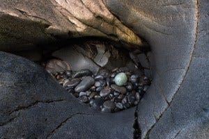 An emerald-colored stone sits where the previous tide left it, cradled by polished bedrock in Acadia National Park, Isle au Haut, Maine.