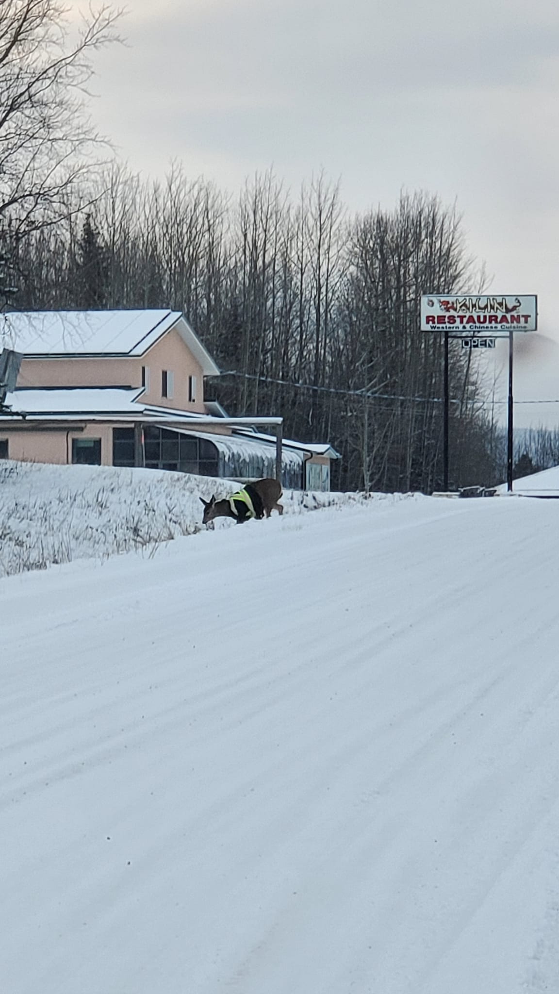 May be an image of snowplow, arctic, road, ski slope and text