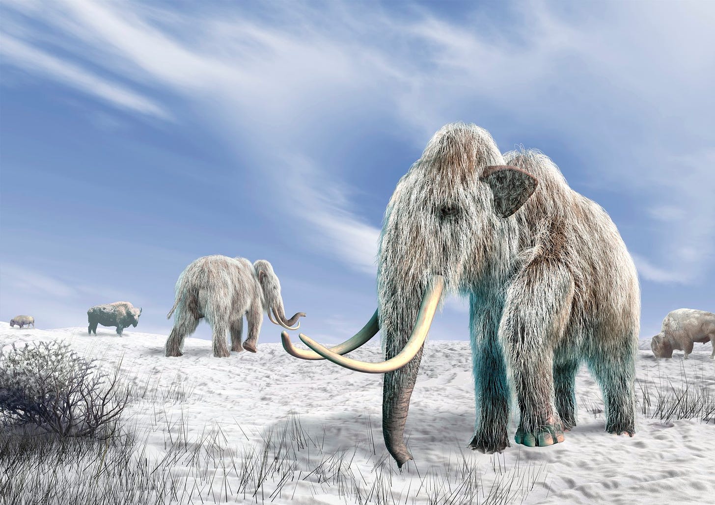 Mammoth and Horse DNA Left in Freezer Rewrite Ice Age Extinctions | Smart  News| Smithsonian Magazine