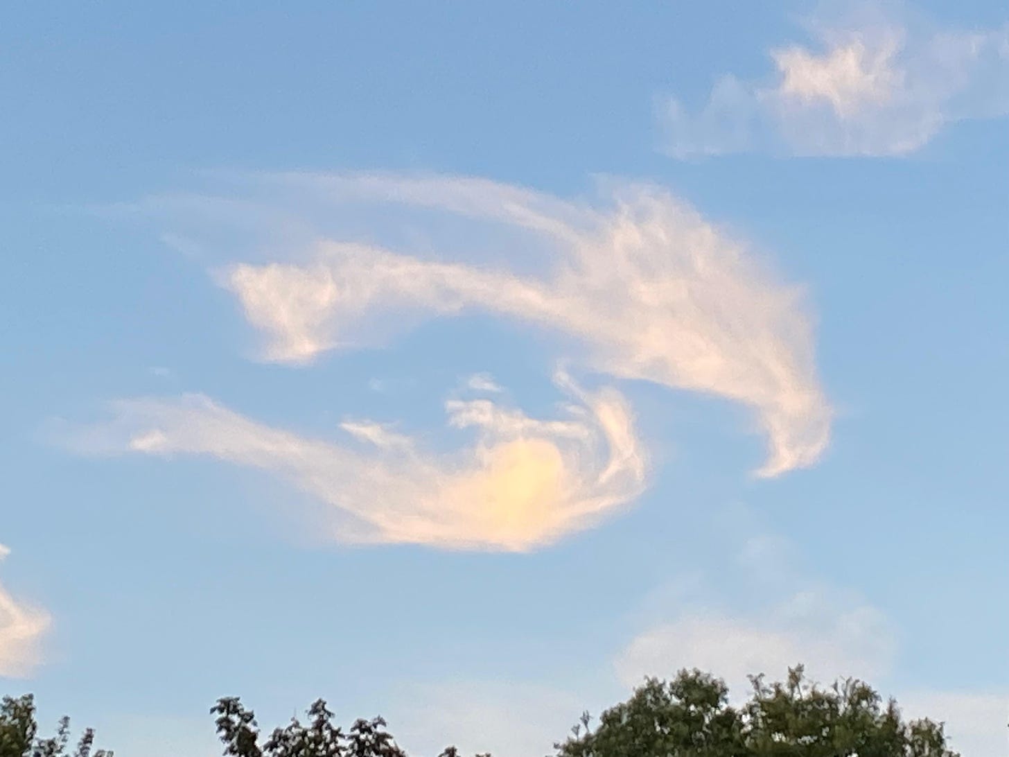 clouds which look like a perched raven in a blue sky