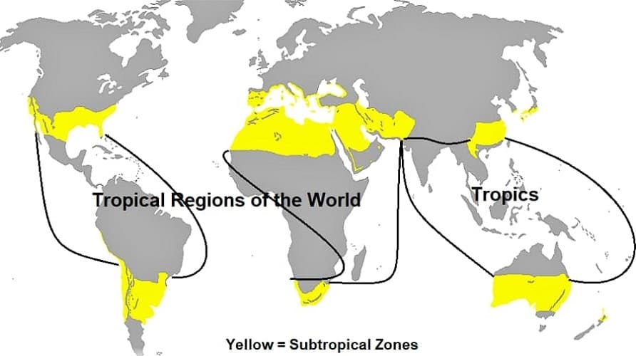 World map of tropical regions and subtropical regions