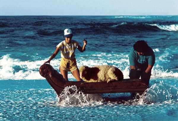 A sheep reclines on an analyst’s couch at the lip of the ocean as two handlers stand by and waves crash around the animal.