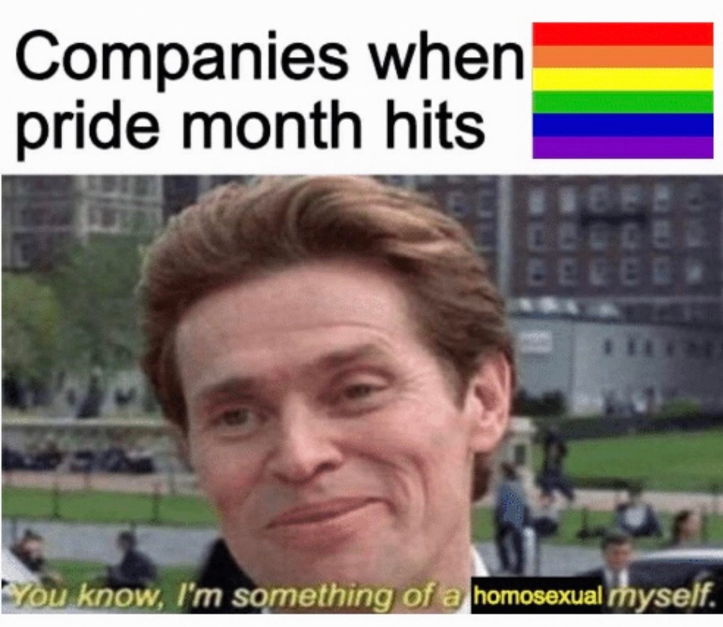 You know, I'm something of a homosexual myself : raimimemes