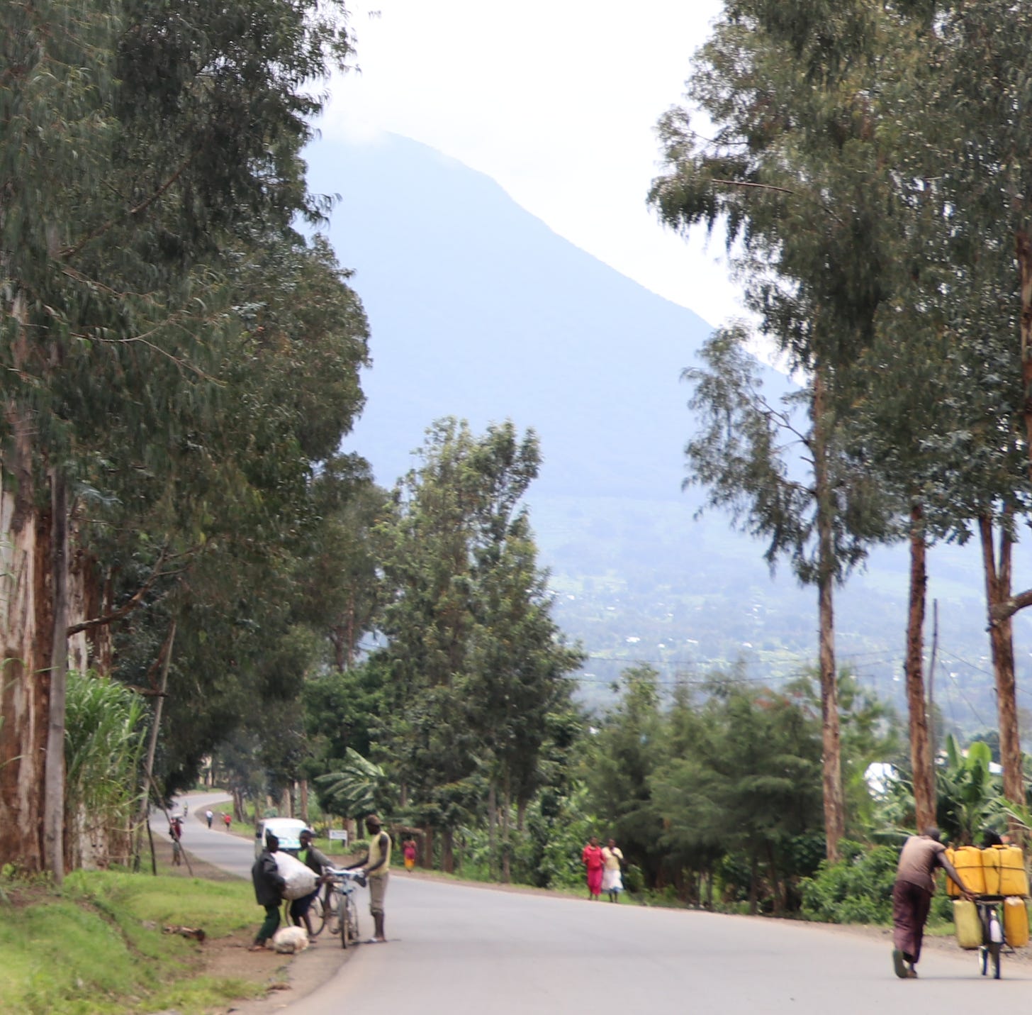 People walk and ride bicycles on a tree-lined road with a misty mountain in the distance