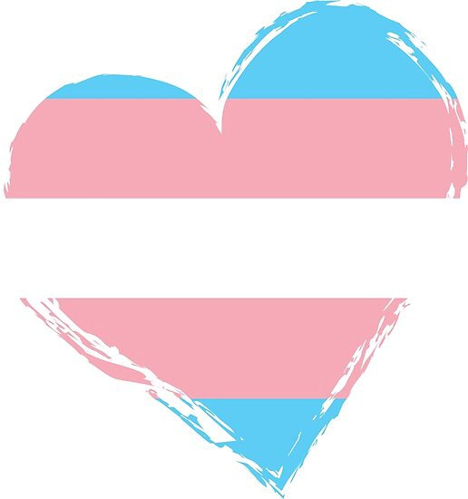 The trans flag represented as a heart