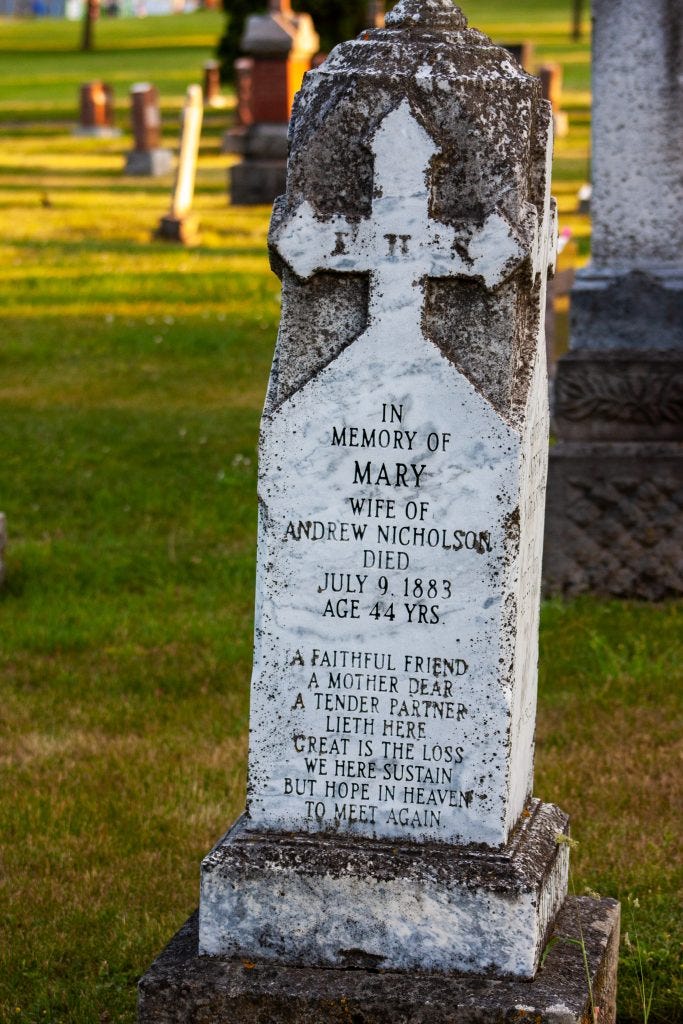 Grave with the inscription

IN
MEMORY OF
MARY
WIFE OF 
ANDREW NICHOLSON
DIED
JULY 9, 1883
AGE 44 YRS.

A FAITHFUL FRIEND
A MOTHER DEAR
A TENDER PARTNER
LIETH HERE
GREAT IS THE LOSS
WE HERE SUSTAIN
BUT HOPE IN HEAVEN
TO MEET AGAIN

https://www.findagrave.com/memorial/180439434/mary-nicholson

This work © 2023 by Brad McKay is licensed under Attribution-NonCommercial-NoDerivatives 4.0 International

https://creativecommons.org/licenses/by-nc-nd/4.0/