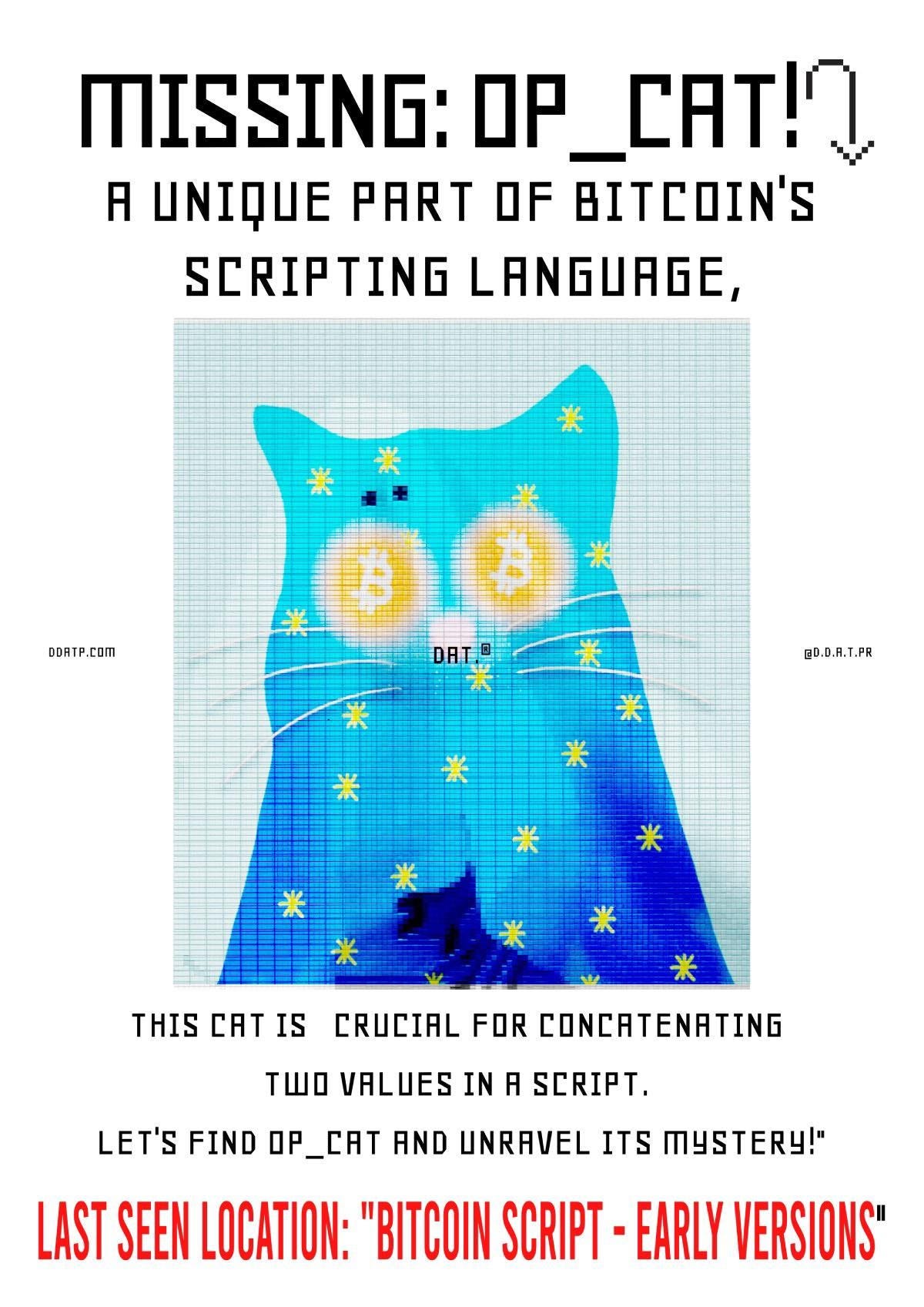 Understanding OP_CAT:making bitcoin amazing again | by Luna Ness | Medium