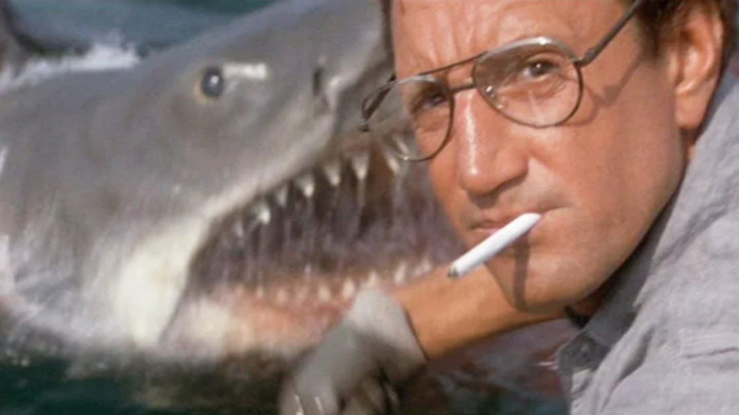 Origin of 'You're Gonna Need a Bigger Boat' Line From 'Jaws' | Mental Floss