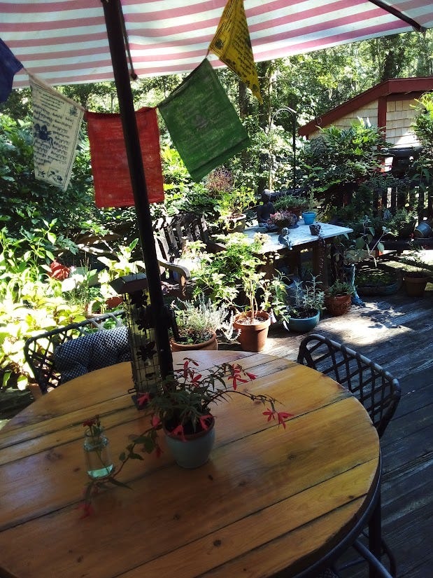 Plants and statuettes on a backyard plant-filled porch