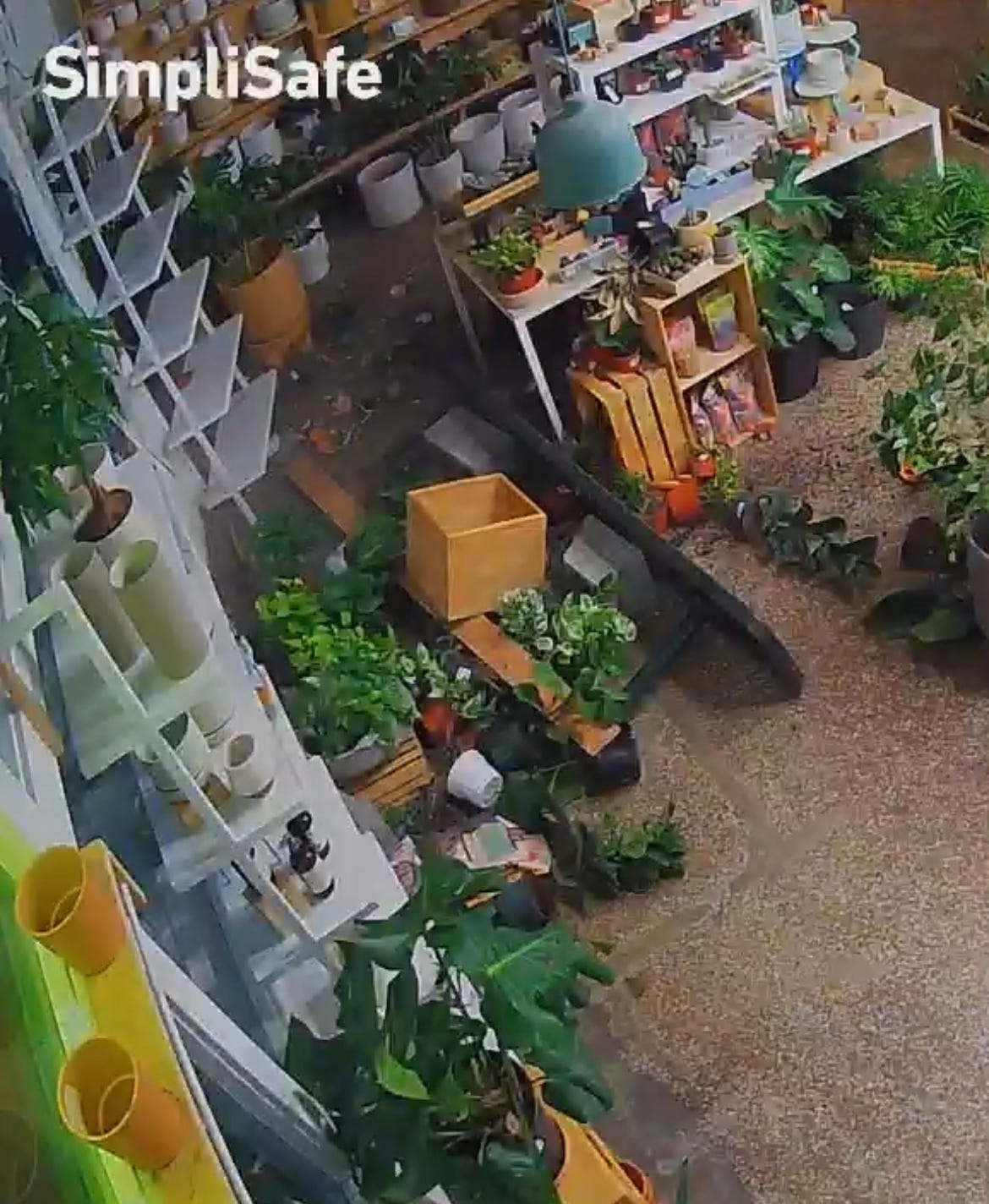 screen shot of security camera footage in a retail shop in disarray