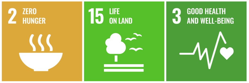 Logos for Sustainable Development Goals 2, 15 and 3 Logos for Sustainable Development Goals 2, 15 and 3
