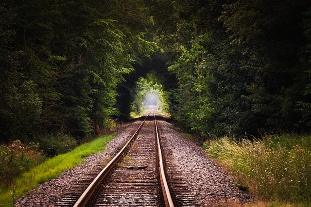 train tracks through leafy tunnel