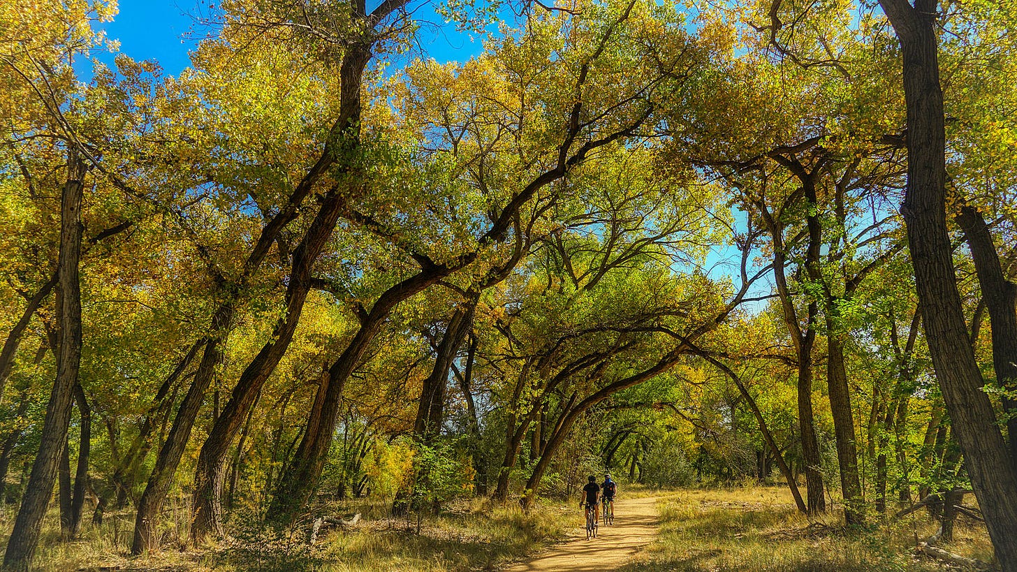 Rio Grande Bosque trail, Paseo del Bosque Trail | 183957 | TrailLink.com