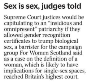 Supreme Court justices would be capitulating to an “insidious and omnipresent” patriarchy if they allowed gender recognition certificates to trump biological sex, a barrister for the campaign group For Women Scotland said as a case on the definition of a woman, which is likely to have implications for single-sex spaces, reached Britain’s highest court.