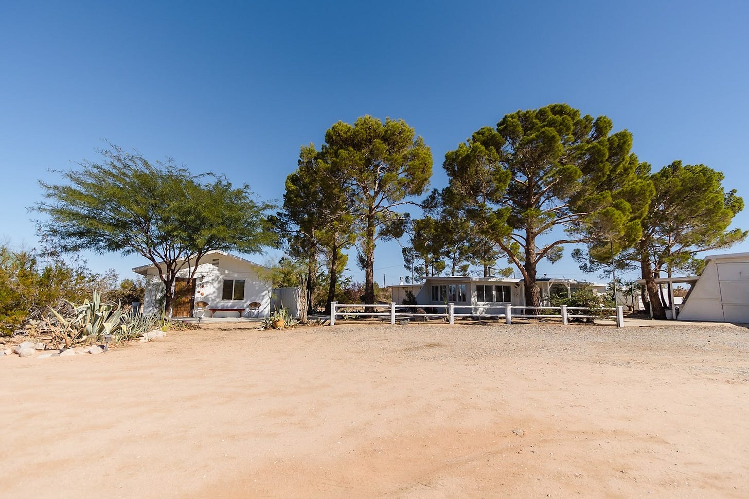 Daytime shot of front exterior view of Jackrabbit Studios, including its Casita on the left, main house in the center, and edge of the studio workshop on the right, shrouded in tall Pinyon Pine trees and yucca and cactus plants, and large sand driveway in foreground.