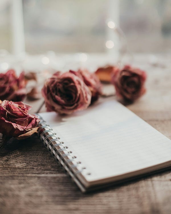 Roses on an open journal page. Roses on an open journal page.
