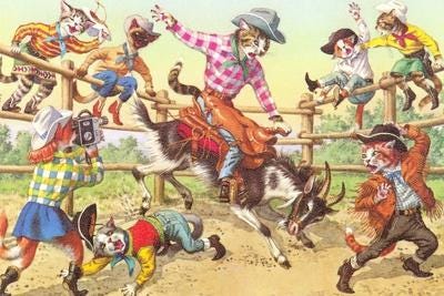 Cat Rodeo' Posters | AllPosters.com