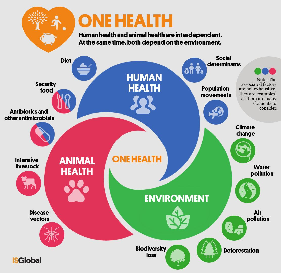 What Is the "One Health" Approach? - LabEuropa
