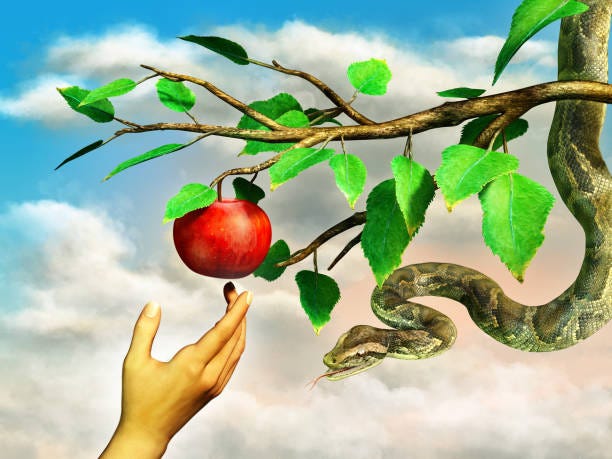 Apple Temptation Stock Photo - Download Image Now - Eve - Biblical Figure,  Apple - Fruit, Snake - iStock