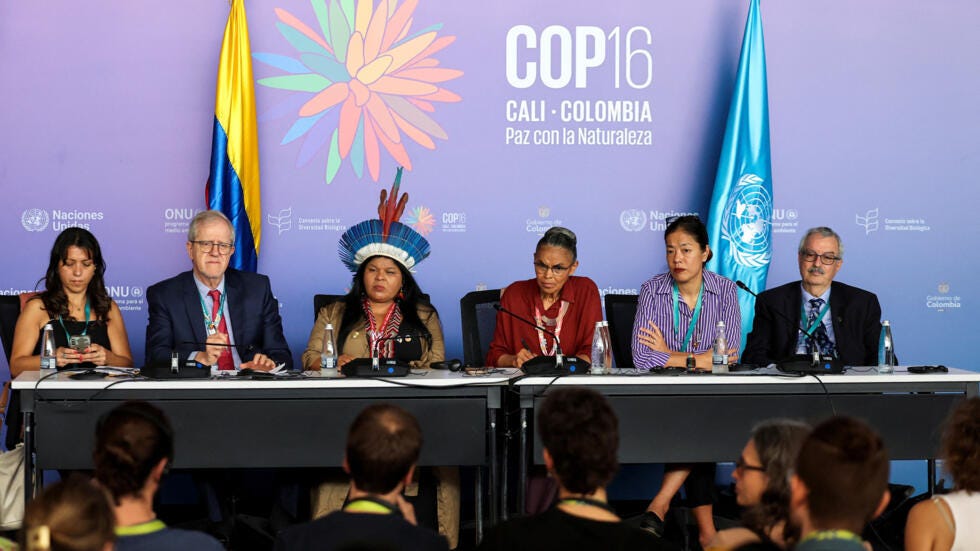 Marina Silva, Brazilian Minister of the Environment, attends a press conference at the 16th United Nations Biodiversity Summit (COP16), in Yumbo, Colombia October 31, 2024.