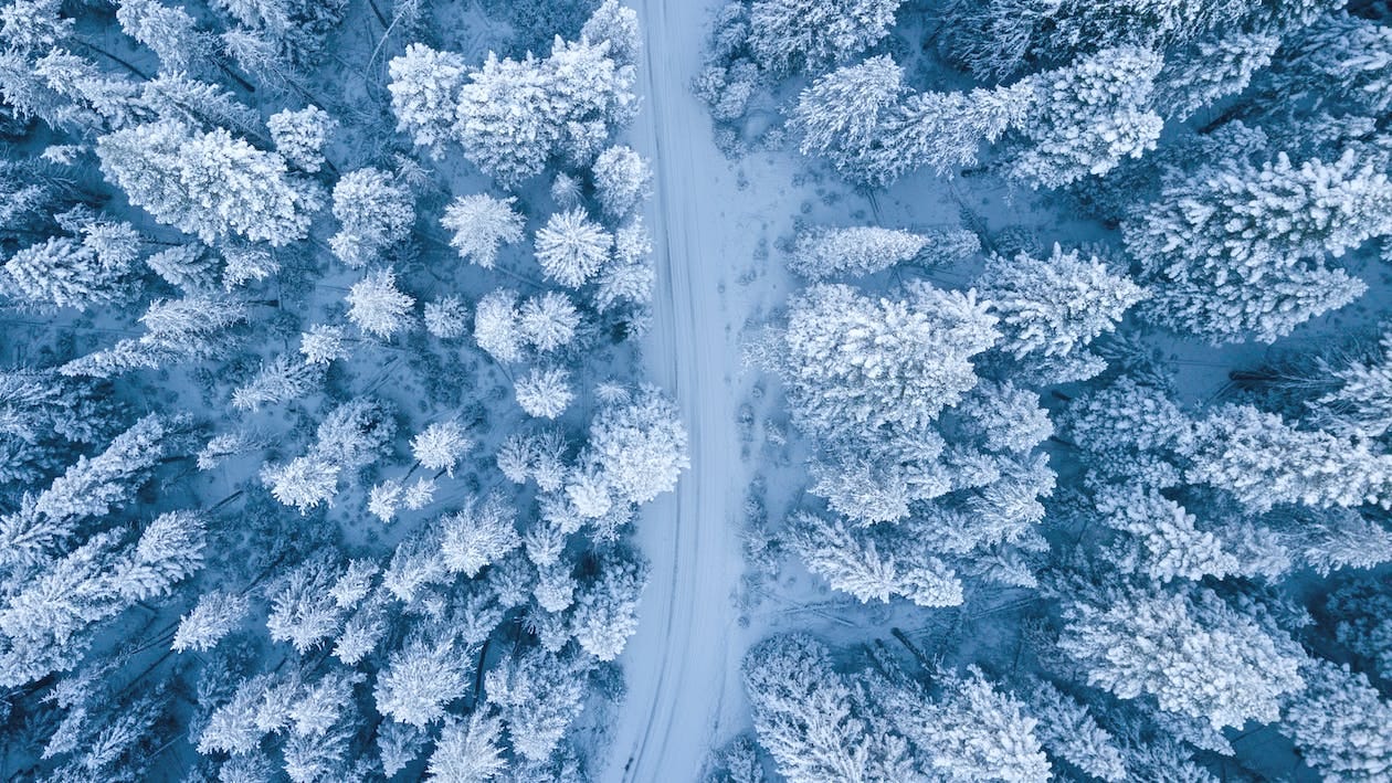 Free Aerial Photography of Snow Covered Trees Stock Photo